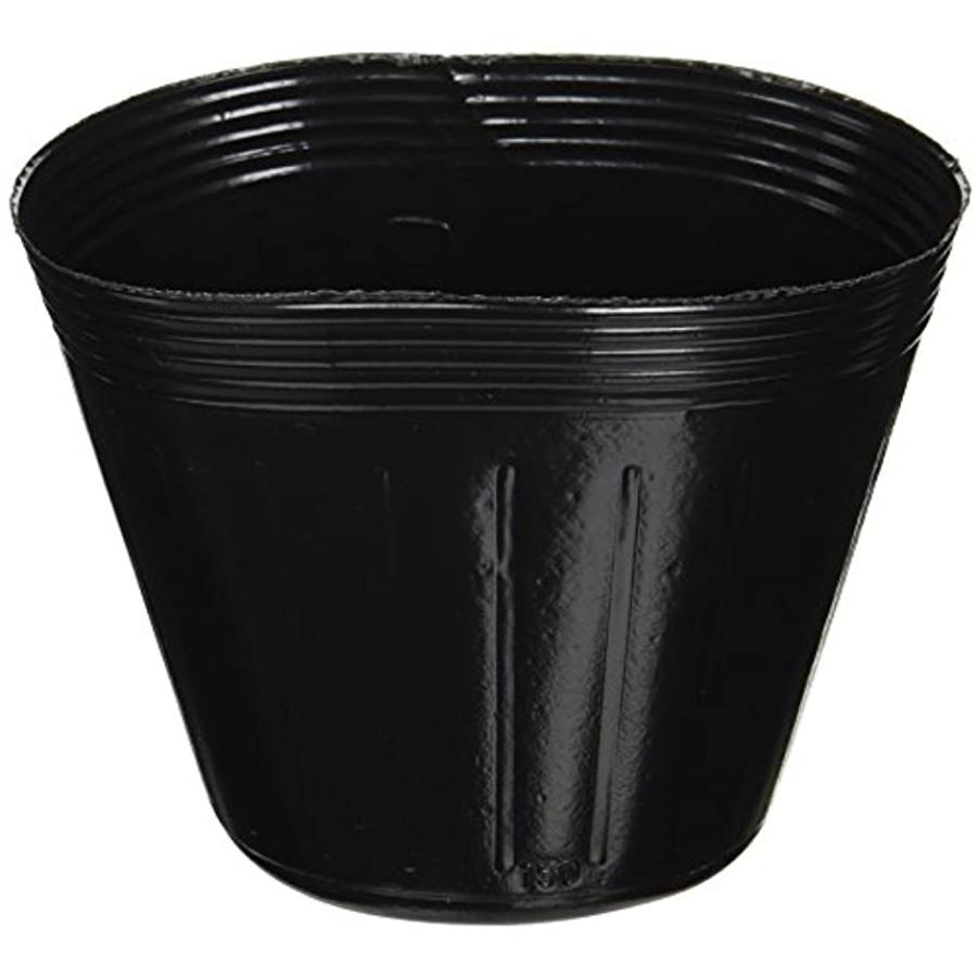 予約中 苗ポット 10個入 15 0cm