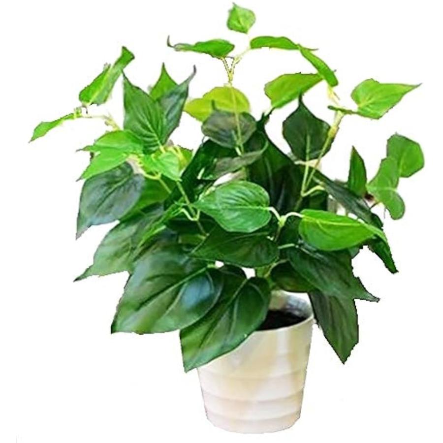 観葉植物 造花 おしゃれ インテリア 雑貨 人工 フェイク グリーン 緑 鉢植え 鉢 2bbpx9be セブンリーフ 通販 Yahoo ショッピング