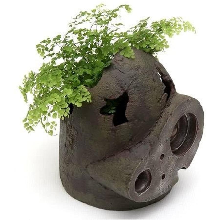 ジブリプランター 天空の城ラピュタ ロボット兵の思い Mar ブラック 2bbttj731r セブンリーフ 通販 Yahoo ショッピング