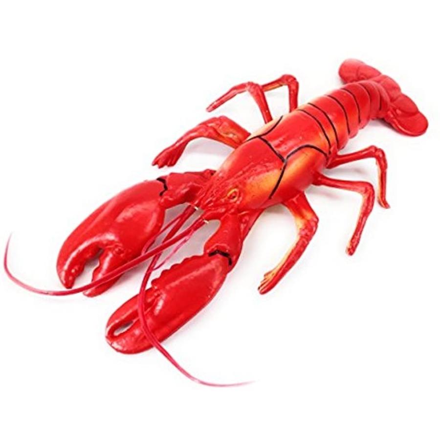 リアル ビッグな ロブスター 食品模型 食品サンプル ディスプレイ レストランなどに S4502 30cm 2bbxxnophc セブンリーフ 通販 Yahoo ショッピング
