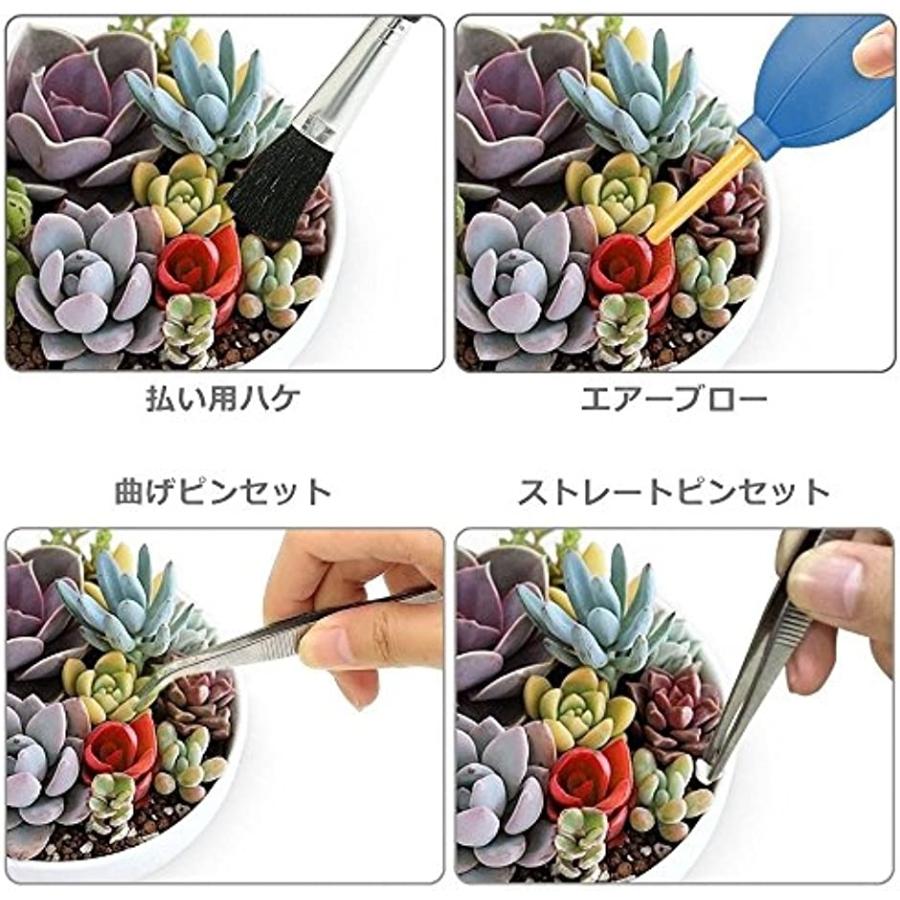 多肉植物 室内 ミニ ガーデニング ツール 15点 園芸 用品 セット インテリア 苗 寄せ植え テラリウム ハオルチア 15種類 62 Off
