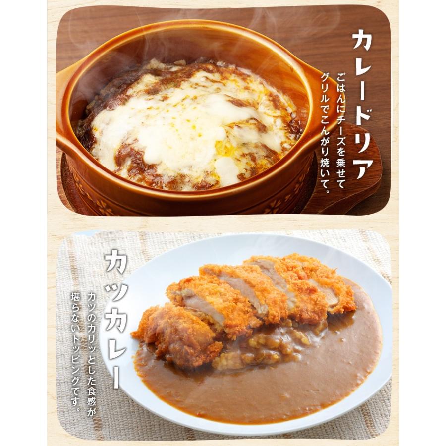 選べる ビーフカレー 200g×3袋 甘口 辛口 オリジナルブレンド 送料無料 レトルト食品 業務用 お取り寄せ ご飯のお供 ポイント消化 人気には 訳あり [メール便]｜sevenpuremium｜11