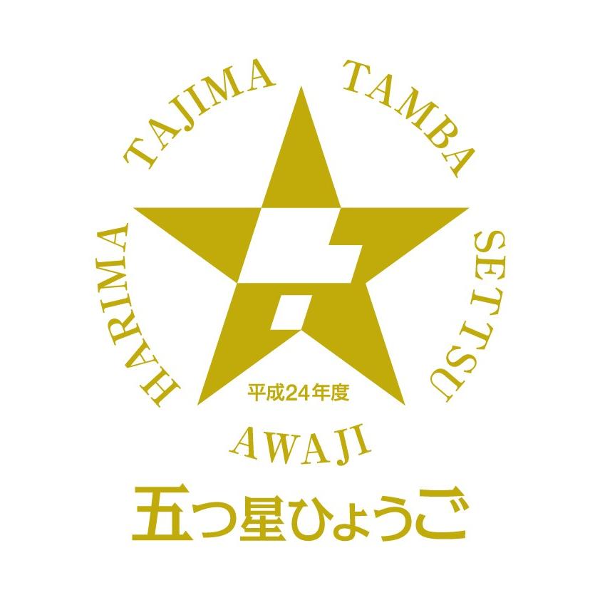 五つ星ひょうご認定!! ベビーファーストシューズ【優雅】 |  | 03