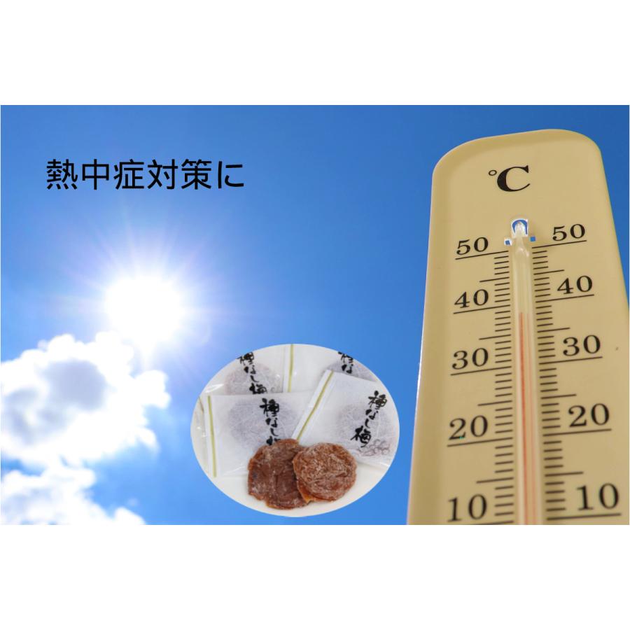 干し梅 まろやか干し梅 ３００ｇ 梅 種無し ほし梅 クリックポスト　送料無料　代金引換は有料宅配 干し梅 個包装 干し梅 種無し　干し梅　人気　熱中症対策　 |  | 05