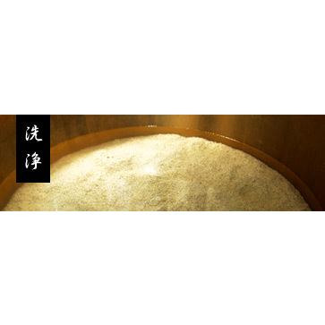 麦味噌　井伊商店　500ｇ　バナナマン　せっかくグルメ　麦　塩　味噌田楽　メーカー直送商品の為高額購入割引特典対象外商品となります。 |  | 02