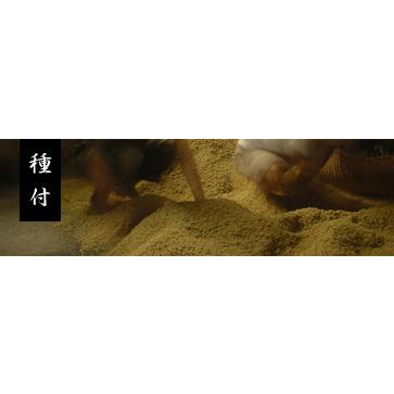 麦味噌　井伊商店　500ｇ　バナナマン　せっかくグルメ　麦　塩　味噌田楽　メーカー直送商品の為高額購入割引特典対象外商品となります。 |  | 03