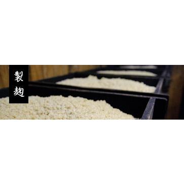 麦味噌　井伊商店　500ｇ　バナナマン　せっかくグルメ　麦　塩　味噌田楽　メーカー直送商品の為高額購入割引特典対象外商品となります。 |  | 04