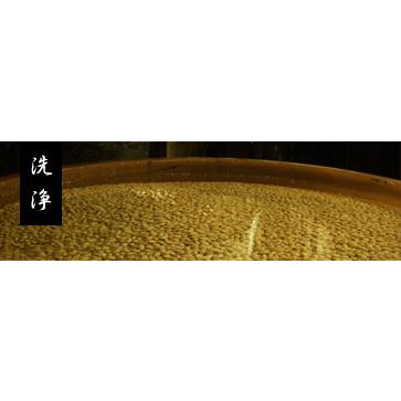 麦味噌１ｋｇ　井伊商店　バナナマン　せっかくグルメ　麦　塩　味噌田楽　メーカー直送商品の為高額購入割引特典対象外商品となります。 |  | 07