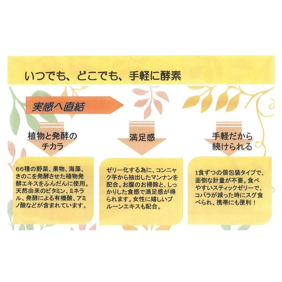 寿 酵素ゼリー 15g×30袋 酵素ドリンク 酵素サプリ 酵素ダイエット 植物エキス発酵食品 |  | 03