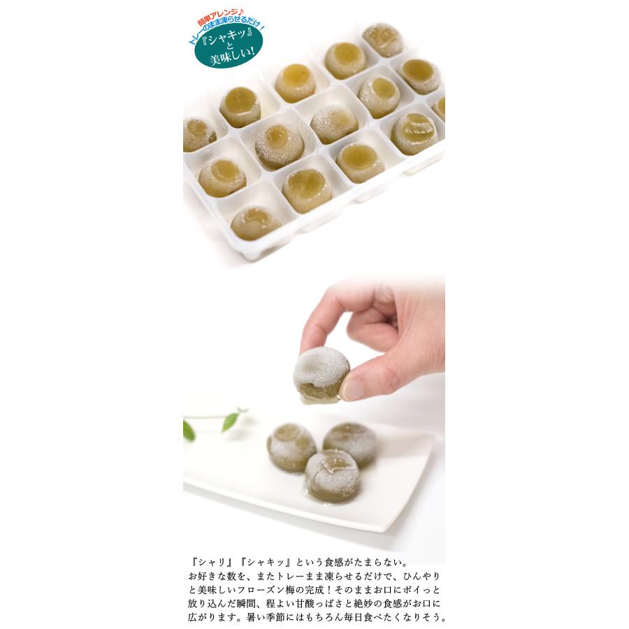 【送料無料】紀州南高梅甘露梅 15粒 2パック |  | 02