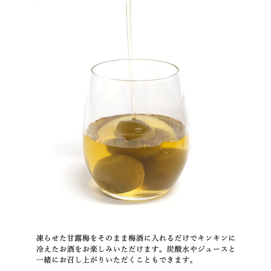 【送料無料】紀州南高梅甘露梅 15粒 2パック |  | 03