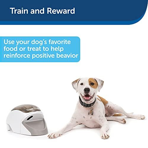 Treat & Train Remote Reward Dog Trainer 