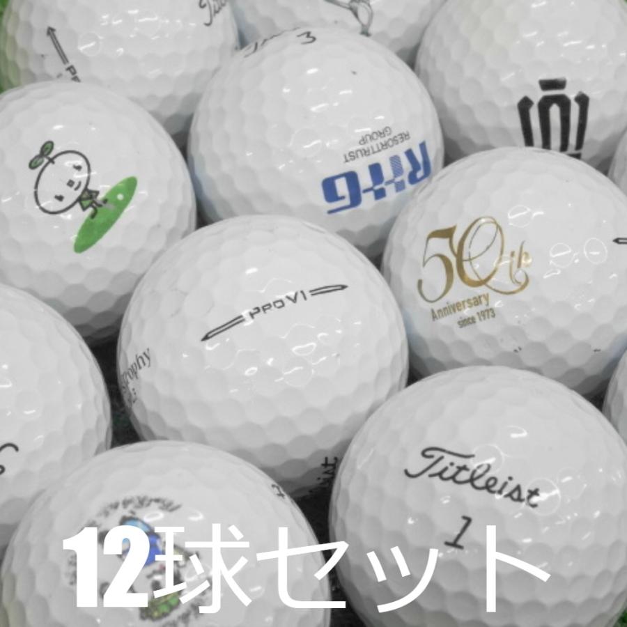 Pro V1 ロストボール ゴルフボール Titleist ホワイト ロゴあり 12球