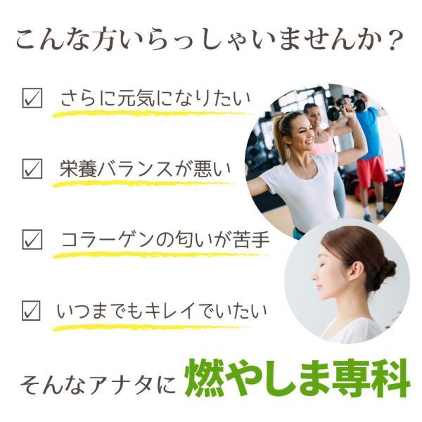 燃やしま専科 レモン風味 500g入 2袋セット クエン酸 コラーゲン など