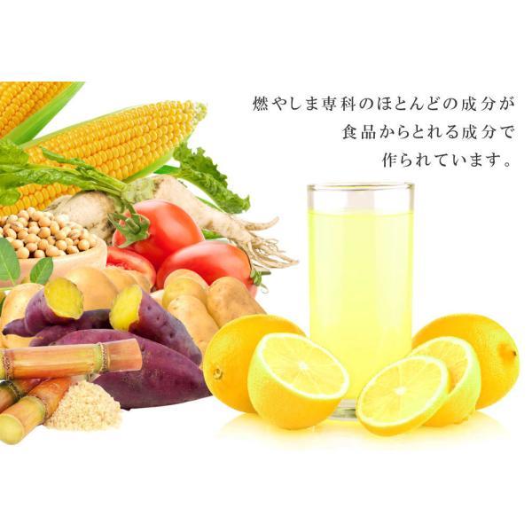 燃やしま専科 レモン風味 500g入 3袋セット クエン酸 コラーゲン など
