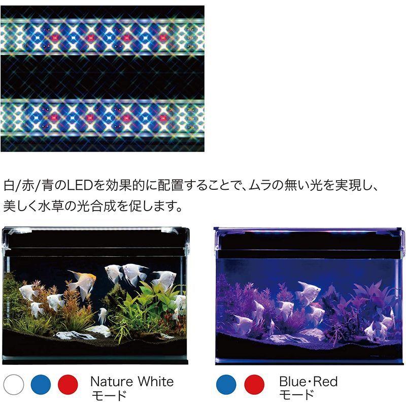 値下げ品 寿工芸 コトブキ工芸 フラットledツイン 3040シルバー 30ｃｍ水槽用照明 980ｌｍ 5w 正規品 送料無料 Der Metzger Am Katzenbuckel De