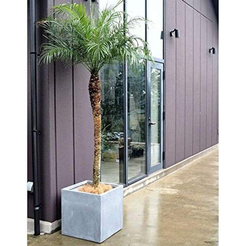 ファイバークレイ製 軽量 大型植木鉢 バスク キューブ 40cm グレー 軽量 大型植木鉢 バスク キューブ 40cm グレー 　 サイズ