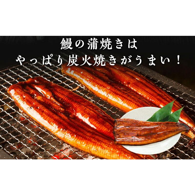 特大鰻蒲焼 長焼き1枚200g 鹿児島県産 国産 炭火焼 ギフト ひつまぶし うなぎ ウナギ 土用の丑の日 お中元 母の日 父の日｜sfd-ymd｜03