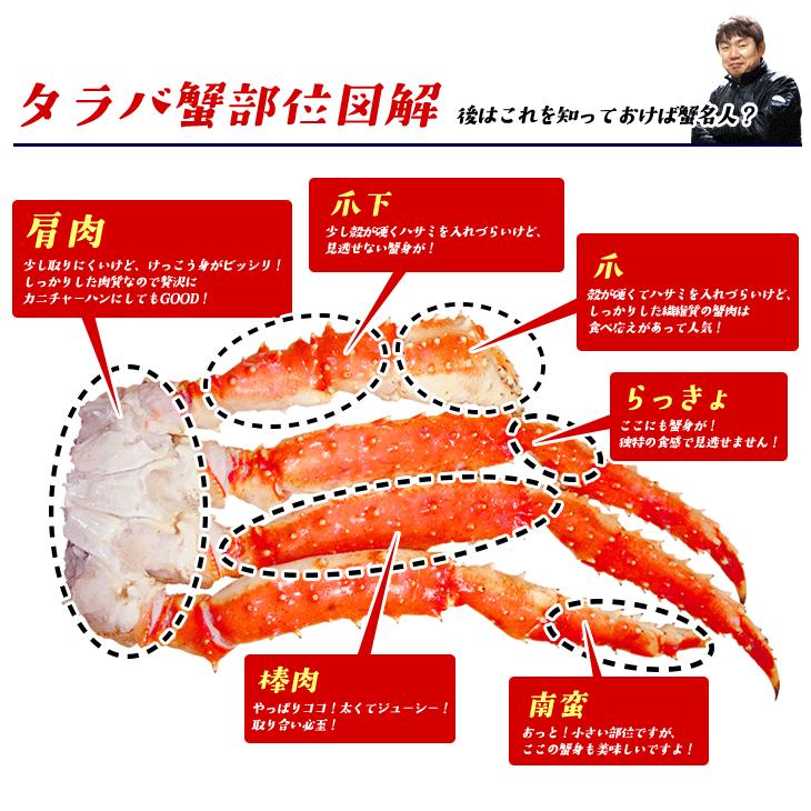 かに カニ 蟹 特大 タラバガニ 750g 送料無料 2人前 贈答 たらば