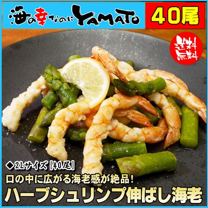 ハーブシュリンプ伸ばし海老 100g(8尾)×5袋 無保水  エビ えび惣菜 天麩羅 冷凍食品 おつまみ｜sfd-ymd