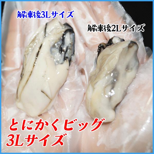牡蠣のむき身1kg  [NET800g] 広島産 特大3Lサイズ厳選 かき カキ｜sfd-ymd｜05