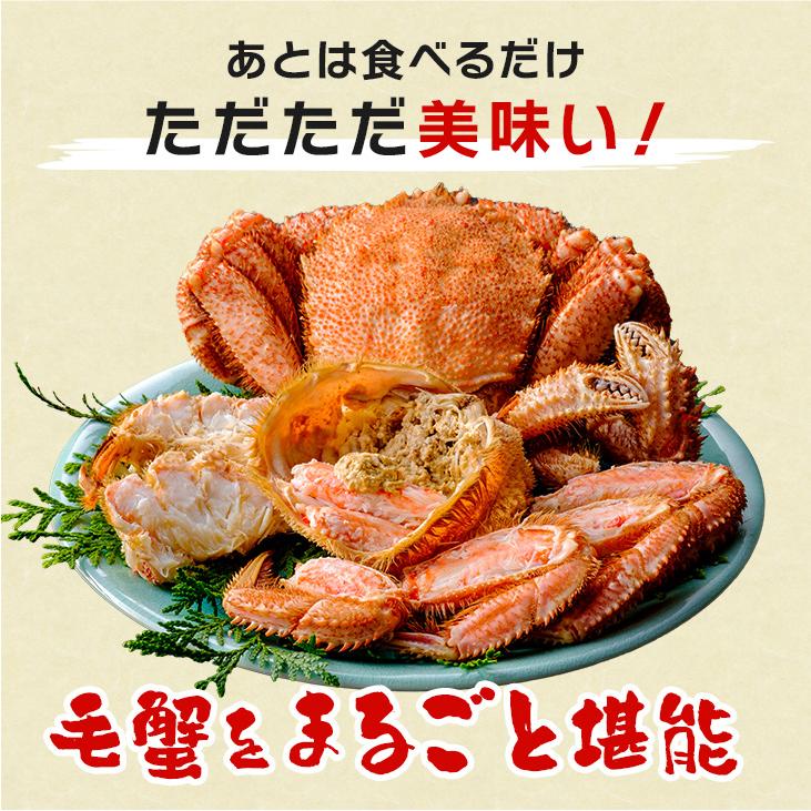北海道オホーツク産 浜茹で毛蟹 大型570gサイズ×2尾入 合計1,14kg 化粧