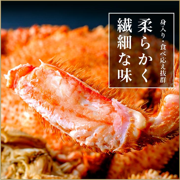 北海道オホーツク産 浜茹で毛蟹 大型570gサイズ×2尾入 合計1,14kg 化粧