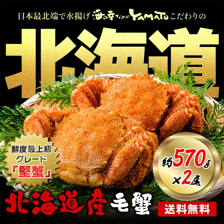 北海道オホーツク産 浜茹で毛蟹 大型570gサイズ×2尾入 合計1,14kg 化粧