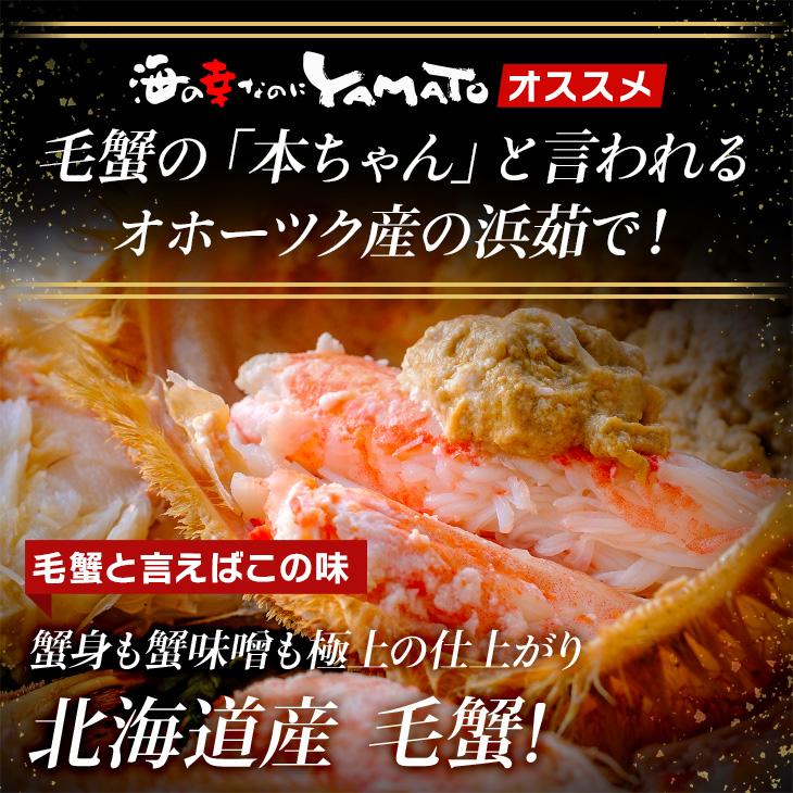 北海道オホーツク産 浜茹で毛蟹 大型570gサイズ×2尾入 合計1,14kg 化粧