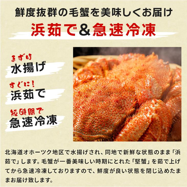 北海道オホーツク産 浜茹で毛蟹 大型570gサイズ×2尾入 合計1,14kg 化粧