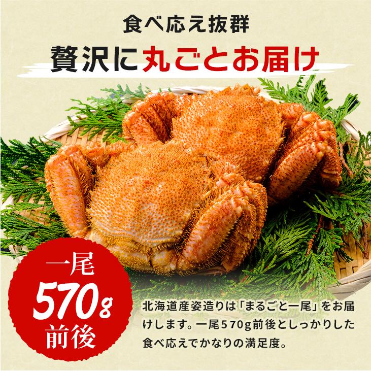 北海道オホーツク産 浜茹で毛蟹 大型570gサイズ×2尾入 合計1,14kg 化粧