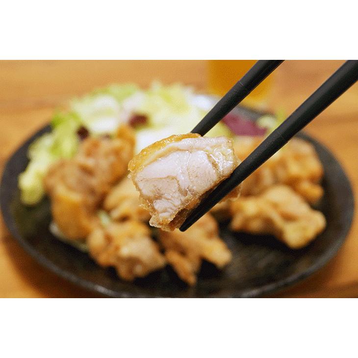 最新な最新な塩または醤油味 選べる二種の味わい 唐揚げ から揚げ ザンギ 300g×4パック 鶏の唐揚げ 竜田揚げ 冷凍食品 おつまみ 惣菜 お酒のお供 お弁当 国産 北海道 肉惣菜、肉料理 ご飯のお供セット、ザンギ2種