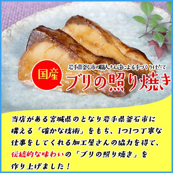 国産ブリの照り焼き 30g×5切入り 湯煎で温めるだけの簡単調理 ポイント 消化 ぶり 鰤 てりやき｜sfd-ymd｜02