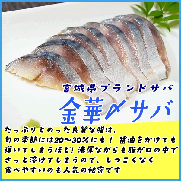 金華しめ鯖 100〜120g×6枚 シメサバ 〆さば サバ 冷凍食品 寿司 スシ すし おつまみ｜sfd-ymd｜02