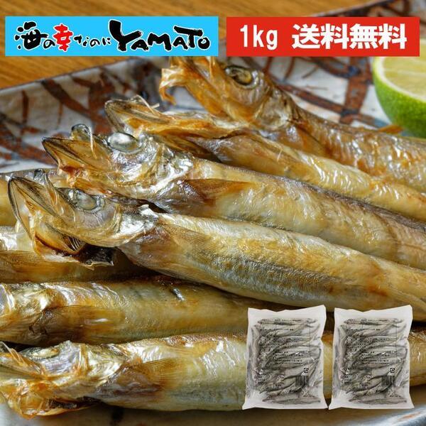 子持ち シシャモ 一夜干し 山盛り1kg(500g×2袋) アイスランド産原料 ししゃも カペリン おつまみ（Yahoo!・海の幸なのにYAMATO）