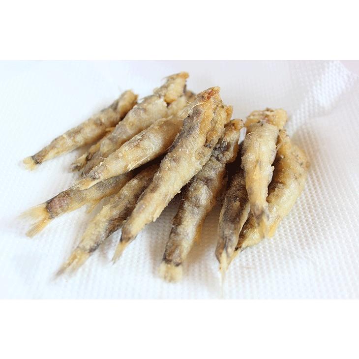 三陸石巻産 メヒカリ 500g-1kg めひかり 目光 唐揚げ 天ぷら 爆買 : 海