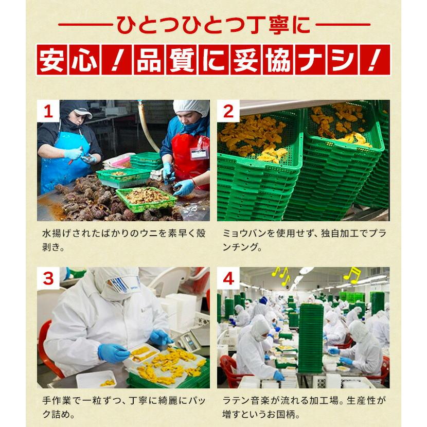 うに ウニ 天然生ウニ100g 雲丹 ミョウバン不使用 完全無添加 海鮮丼 軍艦 寿司 爆買 | ブランド登録なし | 07