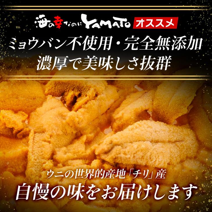 生ウニ 北海道産 生ウニ 殻付き 3kg 国産 うに 生雲丹 キタムラサキウニ 殻