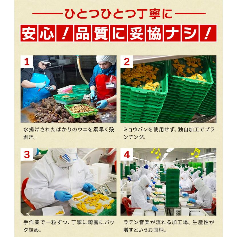 うに ウニ 天然生ウニ 100g×3パック 雲丹 ミョウバン不使用 完全無添加