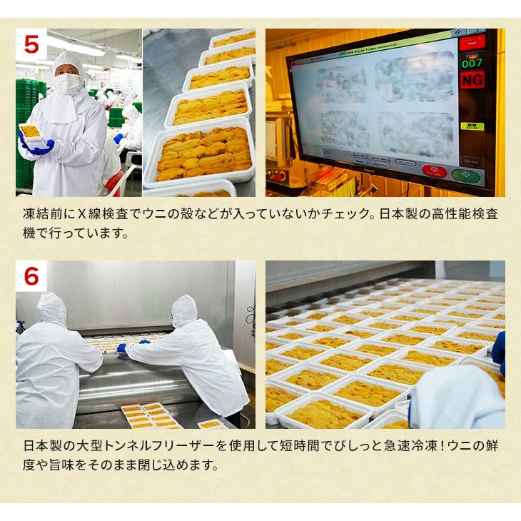 うに ウニ 天然生ウニ 100g×3パック 雲丹 ミョウバン不使用 完全無添加