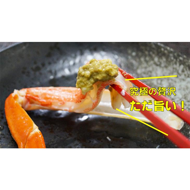 本ズワイ蟹豪華姿造り 特大660g前後サイズ2尾入りセット(合計1.3kg前後) カニ かに 蟹 ずわい蟹 ズワイガニ 蟹味噌 カニ味噌 海の幸 :zu-00068:海の幸なのにYAMATO - 通販 - Yahoo!ショッピング 本ズワイ蟹豪華姿造り 特大660g前後サイズ2尾入りセット(合計1.3kg前後) カニ かに 蟹 ずわい蟹 ズワイガニ 蟹味噌 カニ味噌 海の幸 :zu-00068:海の幸なのにYAMATO - 通販 - Yahoo!ショッピング
