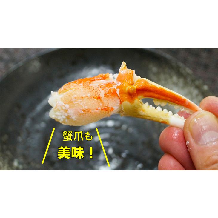 本ズワイ蟹豪華姿造り 特大660g前後サイズ2尾入りセット(合計1.3kg前後) カニ かに 蟹 ずわい蟹 ズワイガニ 蟹味噌 カニ味噌 海の幸 :zu-00068:海の幸なのにYAMATO - 通販 - Yahoo!ショッピング 本ズワイ蟹豪華姿造り 特大660g前後サイズ2尾入りセット(合計1.3kg前後) カニ かに 蟹 ずわい蟹 ズワイガニ 蟹味噌 カニ味噌 海の幸 :zu-00068:海の幸なのにYAMATO - 通販 - Yahoo!ショッピング