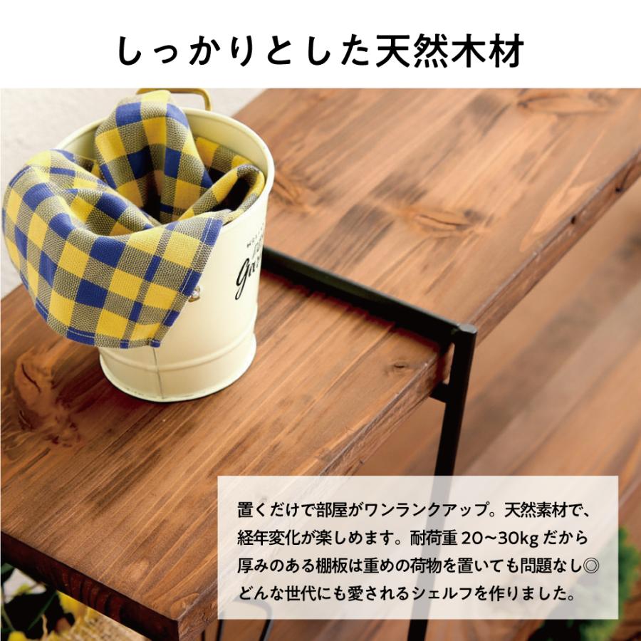 IKplus アイアンシェルフ キャンプギア ハシゴ4段 2脚1SET アイアン