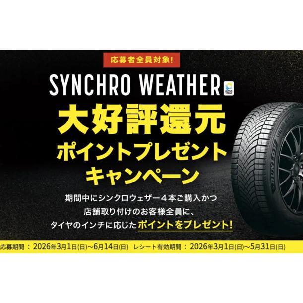 ダンロップ SYNCHRO WEATHER 225/40R19 93W◇送料無料 オールシーズン 