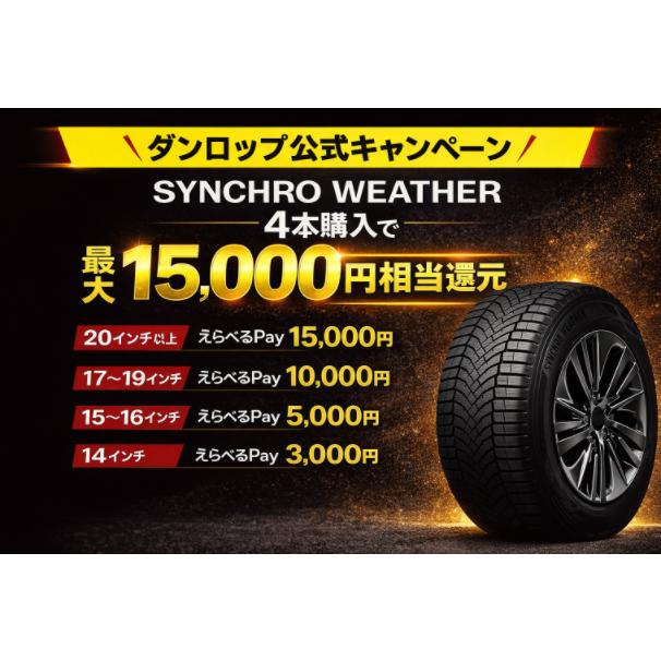 ダンロップ SYNCHRO WEATHER 195/50R19 88H◇送料無料 オールシーズン 