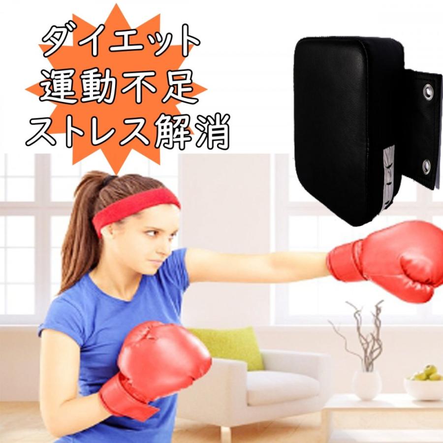 ボクシング ターゲット パンチパッド 壁に取り付け ミニサンドバッグ