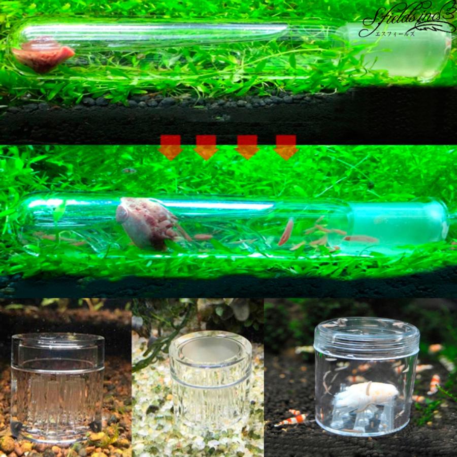 プラナリアトラップ 水槽ヒルワームキャッチャー ウズムシ駆除 薬品を使わず水槽をきれいに 3穴8穴セット 1151 S Fields Inc 通販 Yahoo ショッピング