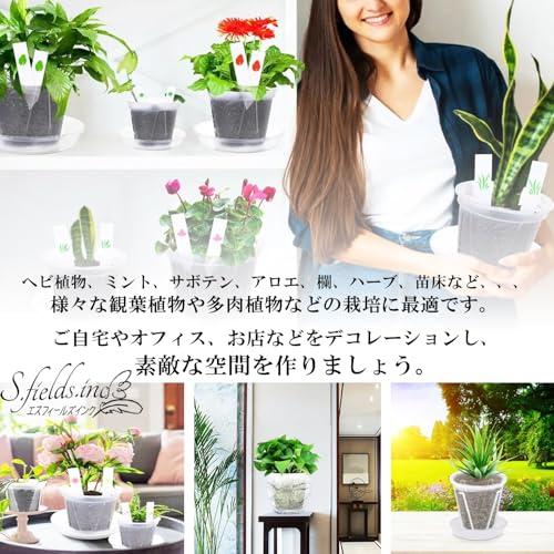 S.fields.inc正規直営店 スリット鉢 植木鉢 透明 プラスチック S.fields.inc正規直営店 スリット鉢 植木鉢 透明 プラスチック