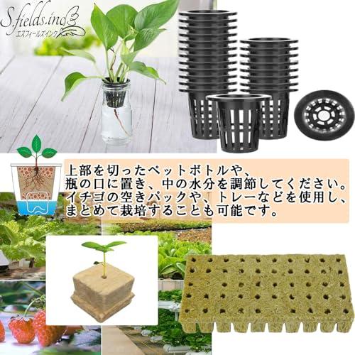 S.fields.inc正規直営店 ロックウールブロック 水耕栽培用ポット 50個