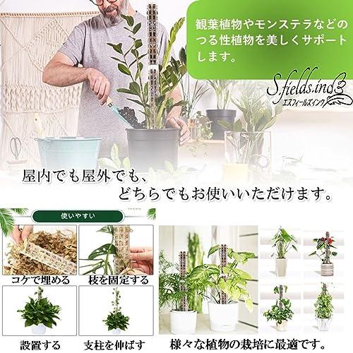 S.fields.inc正規直営店 モスポール 支柱 4本セット 連結可 観葉植物